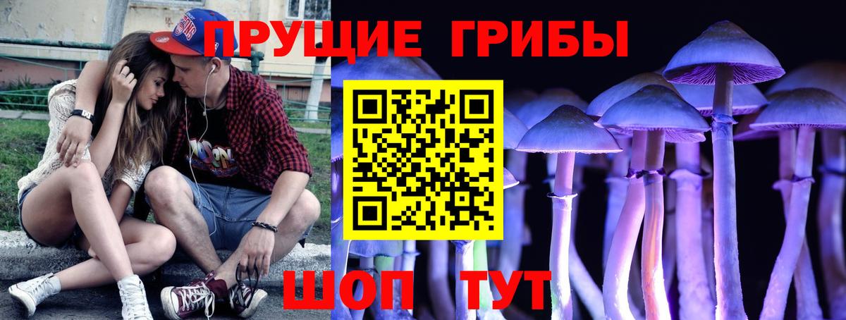 Усолье-Сибирское  Псилоцибиновые грибы Cubensis  Вход с VPN 